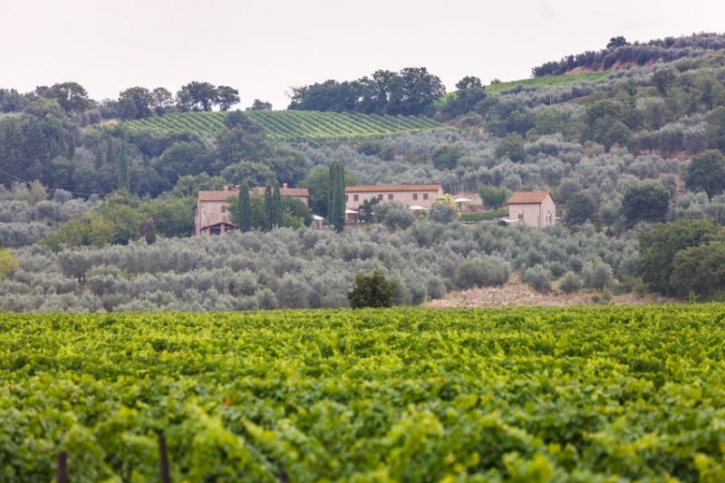 Tenuta il Palazzo